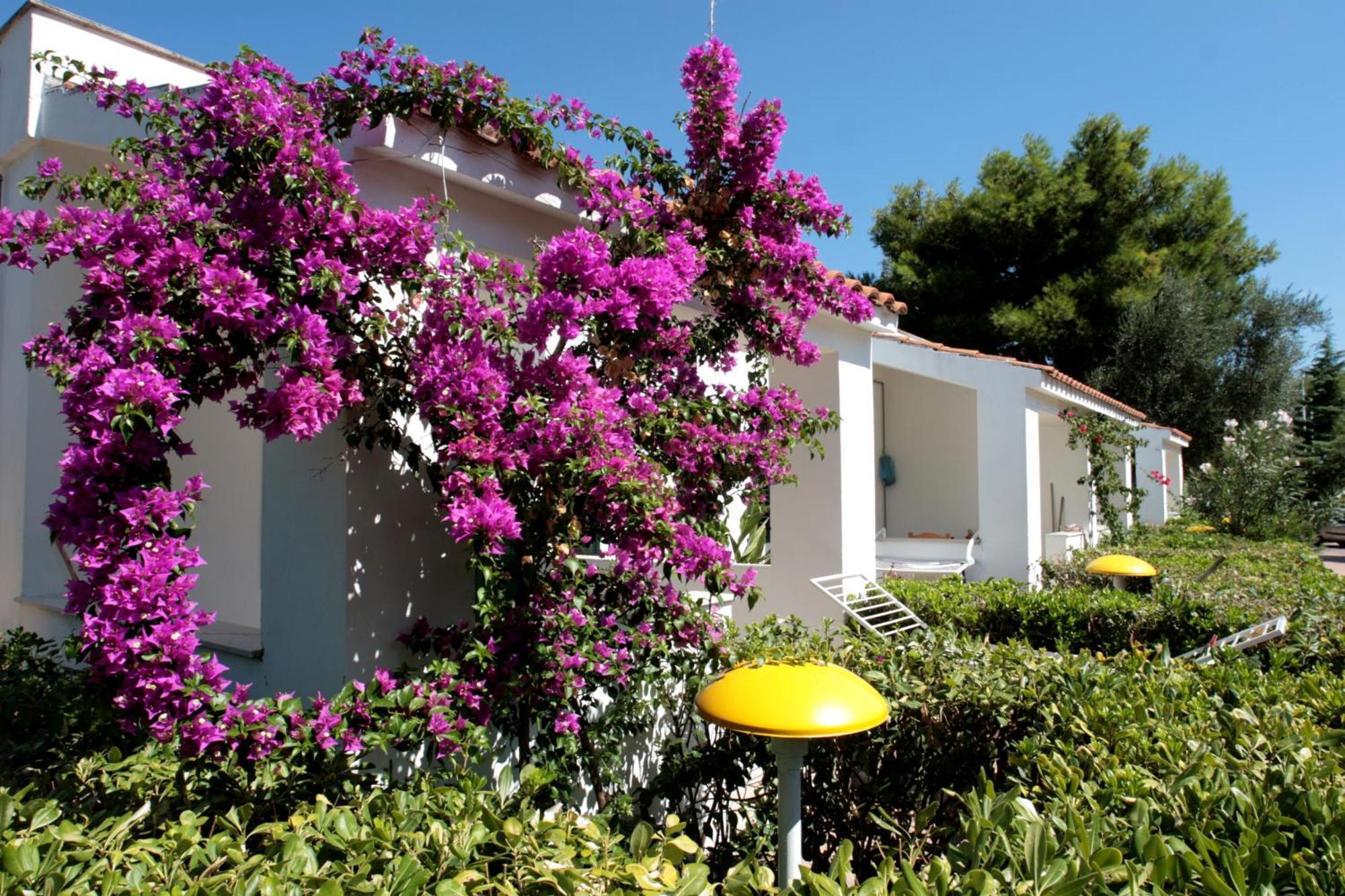 Villaggio Turistico Residence Delfino Vieste Exterior foto