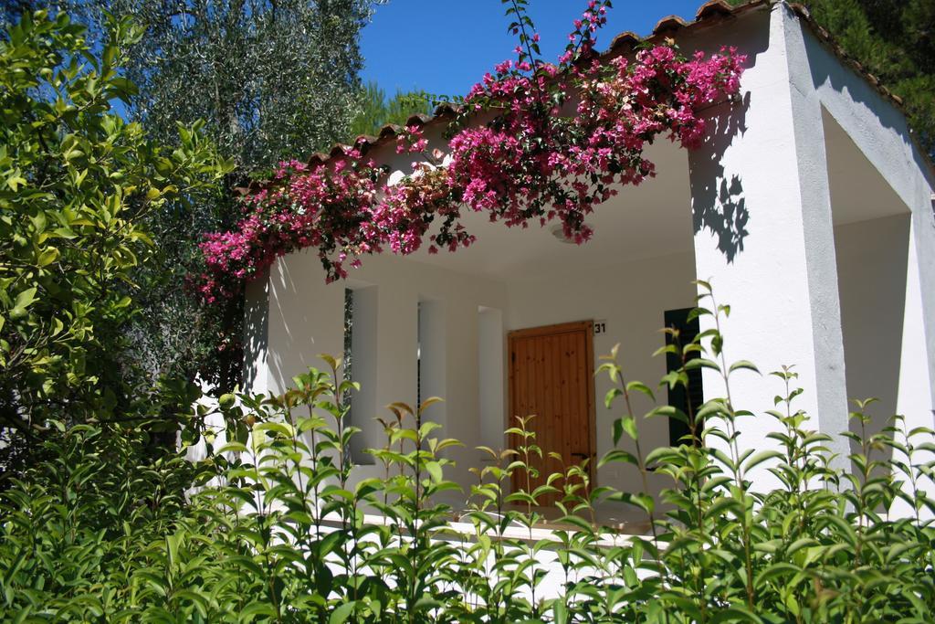 Villaggio Turistico Residence Delfino Vieste Exterior foto